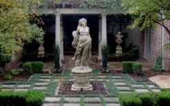 Dwarf Mondo Grass - 36 Pack Of 3.5" Pint Pots -Trees And Plants Picture Mondo Grass Dwarf Pavers