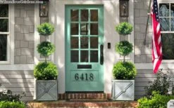 Green Mountain Boxwood 3-Ball Poodle Tier Topiary - 6 Gallon Pot -Trees And Plants buxus green mountain 3 ball topiary 20