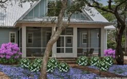 Snow Globe Gardenia - 1 Gallon Pot -Trees And Plants gardenia jasminoides snow globe 2 1