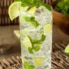 Mojito Mint Plant - 6 Pack Of Pint Pots -Trees And Plants mentha x villosa mojito mint 5